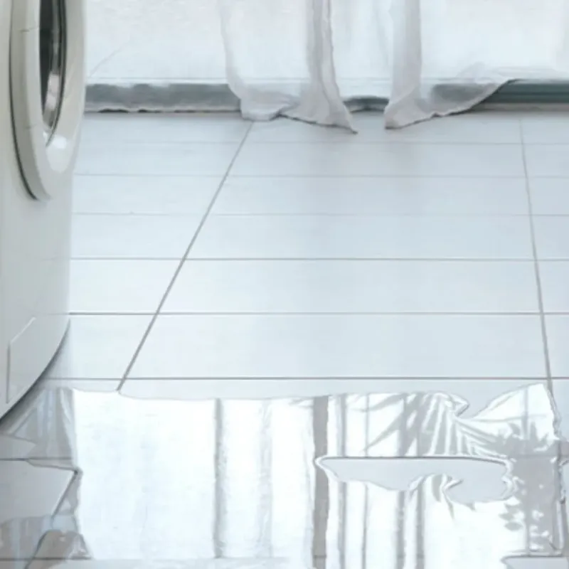 Appliance Leak Cleanup in Lake Mary, FL
